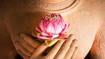 Lotus in the hands of sandstone Buddha