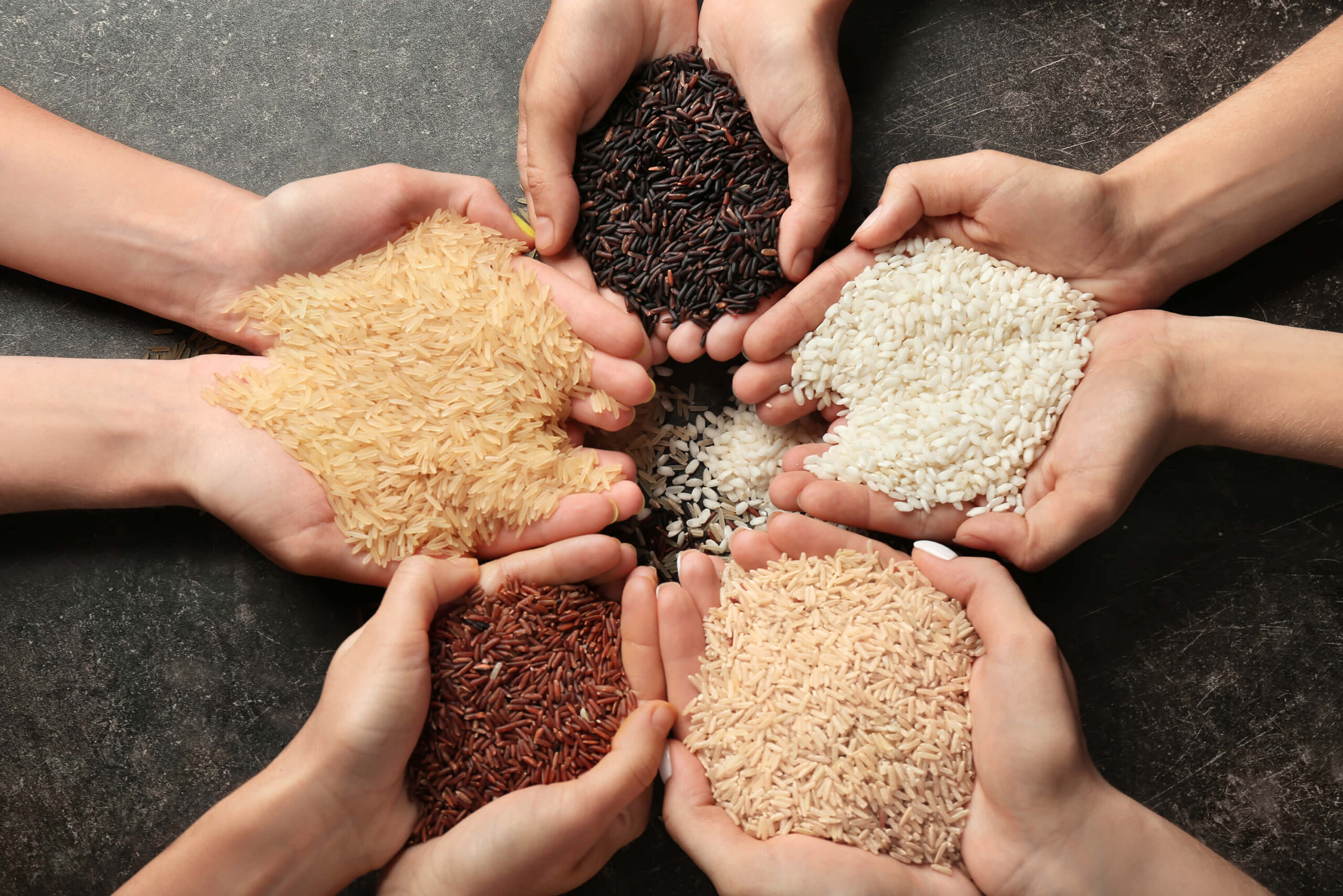 Women holding different types of rice