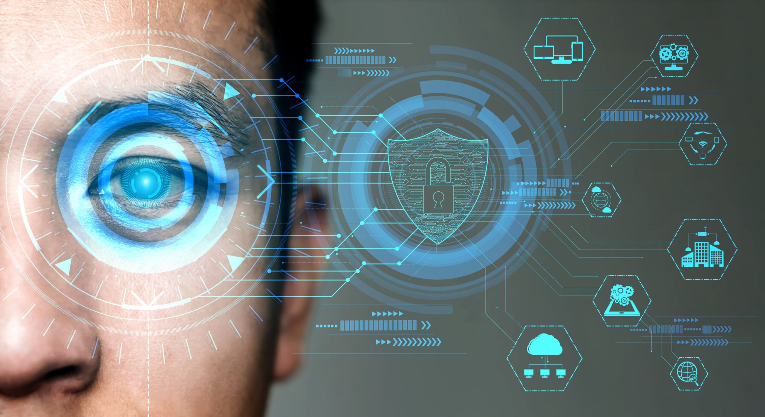 Future security data by biometrics eye scanning