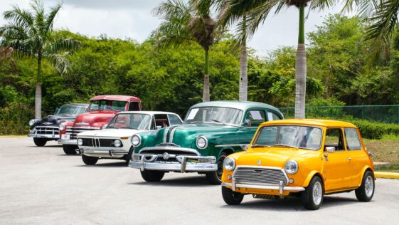Collection of Classic Cars